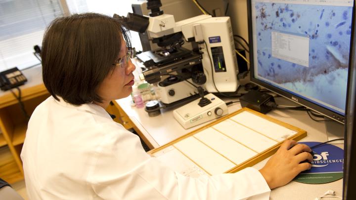 Scientist on computer