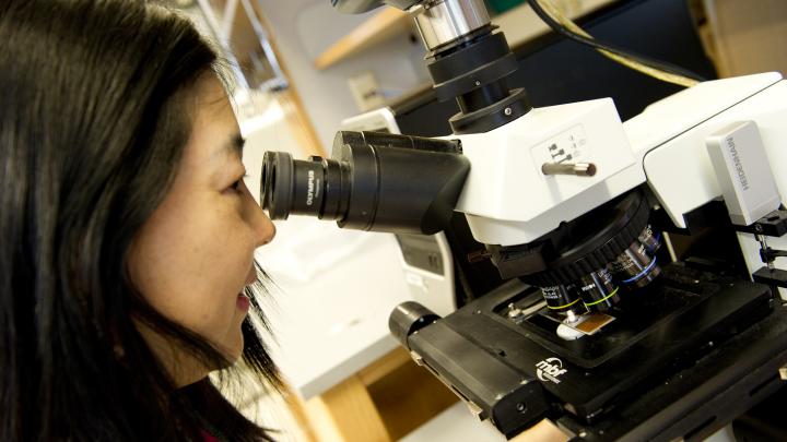 Researcher with microscope